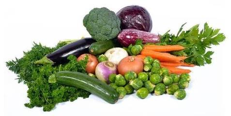 反季節(jié)蔬菜這類產(chǎn)品對(duì)人身體有害無益,學(xué)習(xí)蔬菜的季節(jié)分類屬性