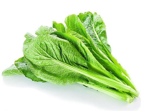 果蔬食品加工機(jī)械廠家直供 本信息長期有效